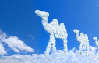 Sny jsou naprosto upřímné. Ukazují nám, jaký život vedeme, říká profesionální vykladač