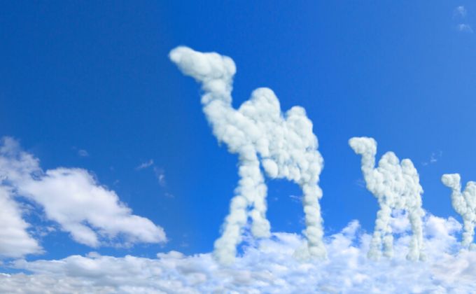 Sny jsou naprosto upřímné. Ukazují nám, jaký život vedeme, říká profesionální vykladač