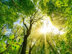 Nejlepší antidepresivum zdarma? Nabijte si mozek sluncem