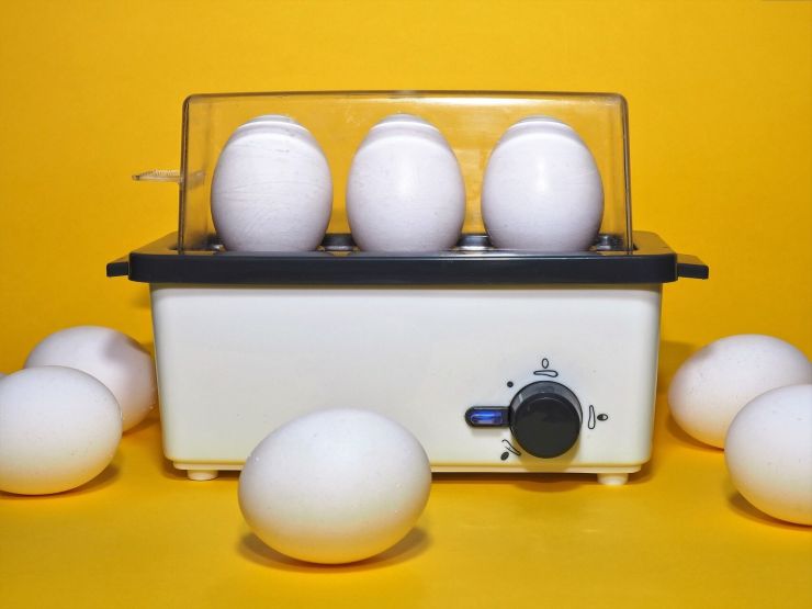 shutterstock 2149450319