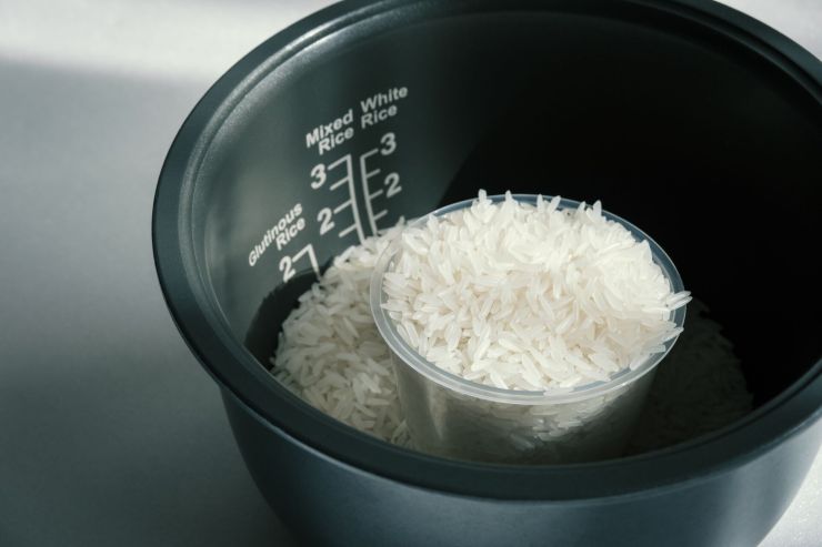 shutterstock 2391269387