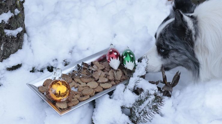 342 articlebig20241204013439