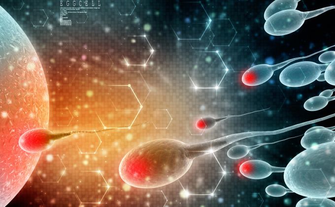 Do jedné spermie se vejde 0,8 GB dat. Do jedné „dávky “ se pak vměstná celý Netflix. Několikrát.