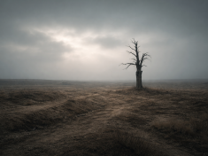 Člověk není diamant. Tlak nás ničí víc, než si připouštíme. A věda už ví proč