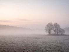 Proč v únoru dochází energie a proč to není lenost. Mozek je jen v zimním režimu