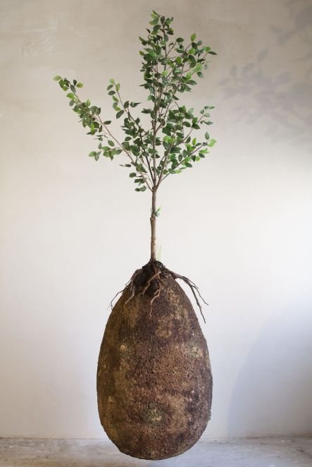 profimedia 0421163039