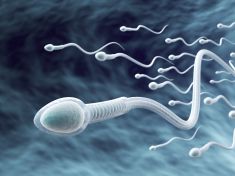 Kam mizí spermie, když muž týdny nebo měsíce neejakuluje ? Tělo je úspěšně recykluje