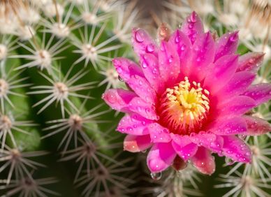 Ne každý problém „tam dole“ zmizí. Rozhodují detaily, které ignorujeme