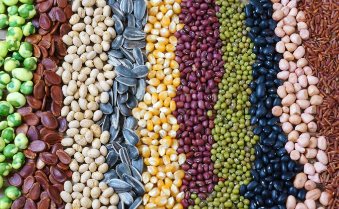 Vláknina vás nespasí. A už vůbec ne v dávkách z TikToku