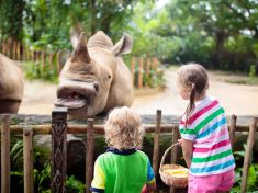Jak přežít zoo i zábavní park bez nervů. Jeden nenápadný trik změní celý den