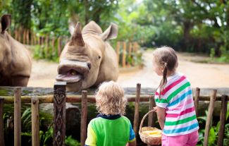 Jak přežít zoo i zábavní park bez nervů. Jeden nenápadný trik změní celý den