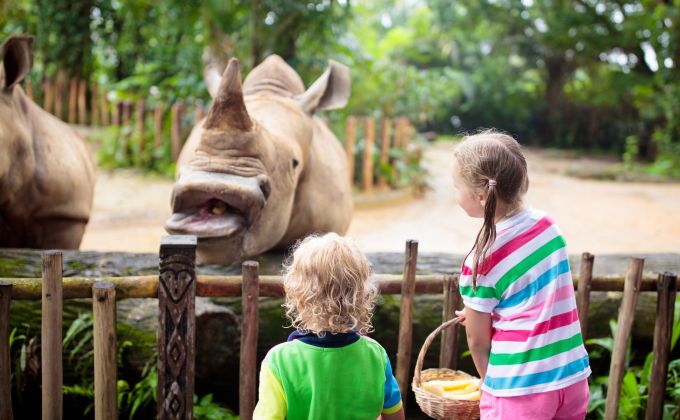 Jak přežít zoo i zábavní park bez nervů. Jeden nenápadný trik změní celý den