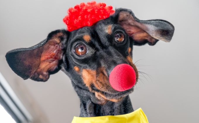 Proč věříme nesmyslům? Apríl ukazuje slabinu, kterou má každý z nás