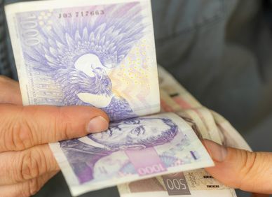 Online úřady jsou úleva. Dokud nejsou jedinou cestou
