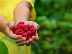 Stačí jedna známá vůně a najednou je vám zase dvacet. Mozek vám vrátí vzpomínky i lidi, na které jste dávno zapomněli