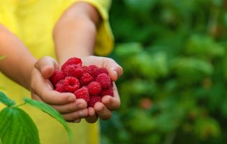 Stačí jedna známá vůně a najednou je vám zase dvacet. Mozek vám vrátí vzpomínky i lidi, na které jste dávno zapomněli