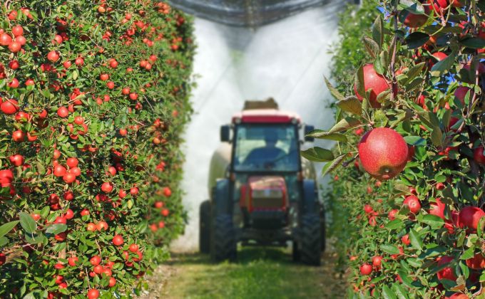 Až sedm pesticidů v jednom jablku. Většina z nich by jako výživa pro kojence neprošla, varuje evropská zpráva