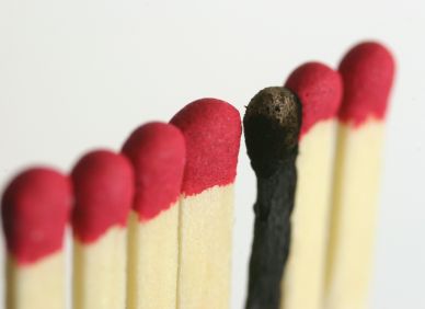 Levné cigarety, drahé důsledky. Padělky lámou rekordy a živí organizovaný zločin