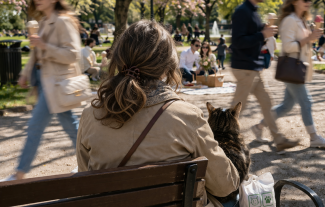 Další zdražování? Mám chuť to zabalit, už teď šetřím na lécích, jídle... a kočce