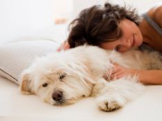 Ženy radši spí v posteli se psem nebo s kočkou než s manželem. Důvod vás nepřekvapí