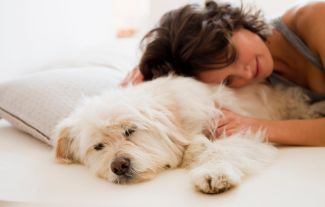 Ženy radši spí v posteli se psem nebo s kočkou než s manželem. Důvod vás nepřekvapí