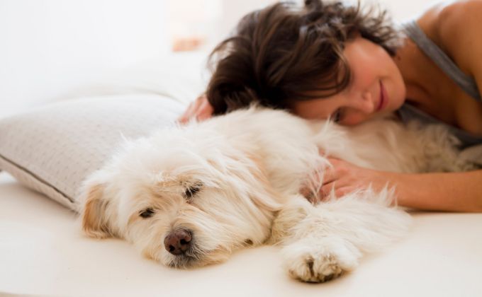 Ženy radši spí v posteli se psem nebo s kočkou než s manželem. Důvod vás nepřekvapí