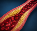 Vyšší cholesterol může znamenat delší život. Jenže ne pro každého