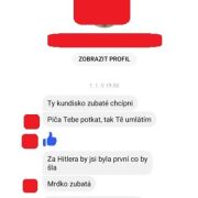 „Za Hitlera by jsi byla první co by šla.“ Cenou za mandát jsou pro české poslankyně výhrůžky a nechutné zprávy