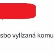 „Za Hitlera by jsi byla první co by šla.“ Cenou za mandát jsou pro české poslankyně výhrůžky a nechutné zprávy