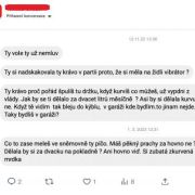 „Za Hitlera by jsi byla první co by šla.“ Cenou za mandát jsou pro české poslankyně výhrůžky a nechutné zprávy