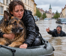 „Pojď sem, Kobliho… A ty máš smůlu!“ Čtyři z deseti lidí by zachránili svého psa místo cizího člověka