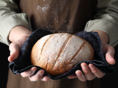 Zahrádkáři vědí něco, co lidem od počítačů uniká. Proč pečeme chleba a pěstujeme předražená rajčata