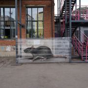 Fotogalerie: Až moc živé graffiti. Zvířata děsí ve městě i v přírodě