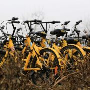 Fotogalerie: Tisíce kol Ofo u Siang-jangu marně čekají na údržbu
