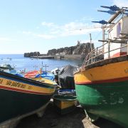 Nechce se vám na karneval až do Ria? Zkuste únorovou Madeiru