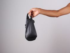 Zákaz igelitek platí ve 40 zemích. V Africe za jejich pašování hrozí vězení