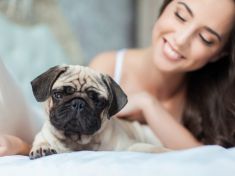 Spíte v posteli se psem? Může to uškodit i pomoci