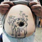 Bez takové vypracované figury by obrázek hospodářského zvířete snad ani nevynikl.