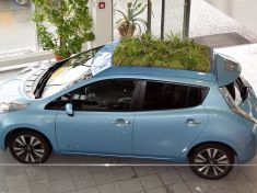 Na střeše aut budoucnosti porostou i jahody