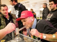 Z Letňan se stane Mekka konopí (už v pátek)