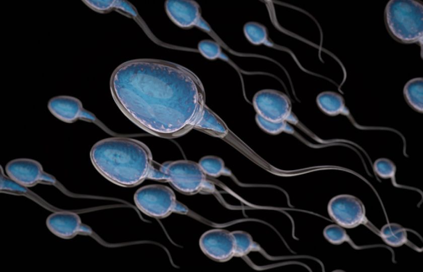 Muži přišli o 25 milionů spermií. Prý proto, že se mají až moc dobře