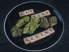 RAW konopí. I z toho už se vaří (a prý je výživnější než kapusta)