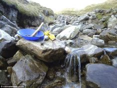 V Kalifornii začala nová zlatá horečka. Umírají kvůli ní ryby