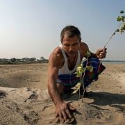 Sázením stromů zabraňuje Jadav erozi říčních břehů