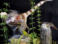 Malý dinosaurus s peřím a obličejem mývala představuje velkou revoluci