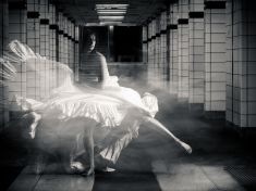 Období od 12. 12. do 24. 12. 2017: 1-Caban (Pohyb) 