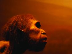 Kdo jsou duchové? Vědci díky slinám objevili tajemný lidský druh