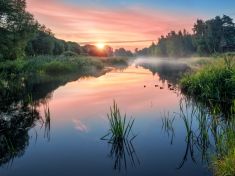 Období od 30. 8. – 11. 9. 2017: 1-Ben (Rákos) 