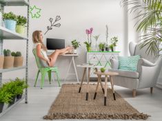 Zeleň v domácnosti léčí. Jaké rostliny doporučuje NASA?