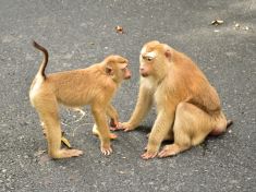 Floweek: Čtyři minuty zírání do očí a čtyři kilometry do Hradce